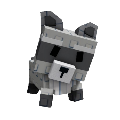 Raccoon